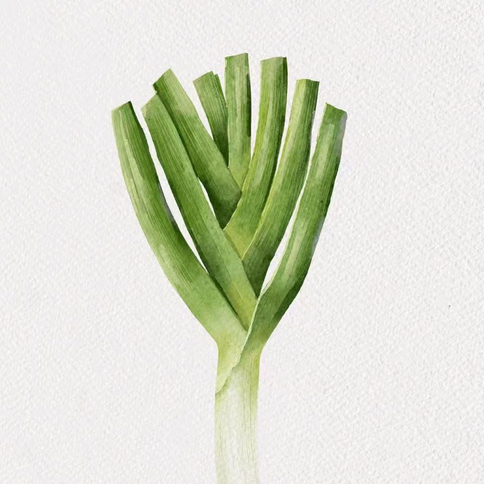 大葱
