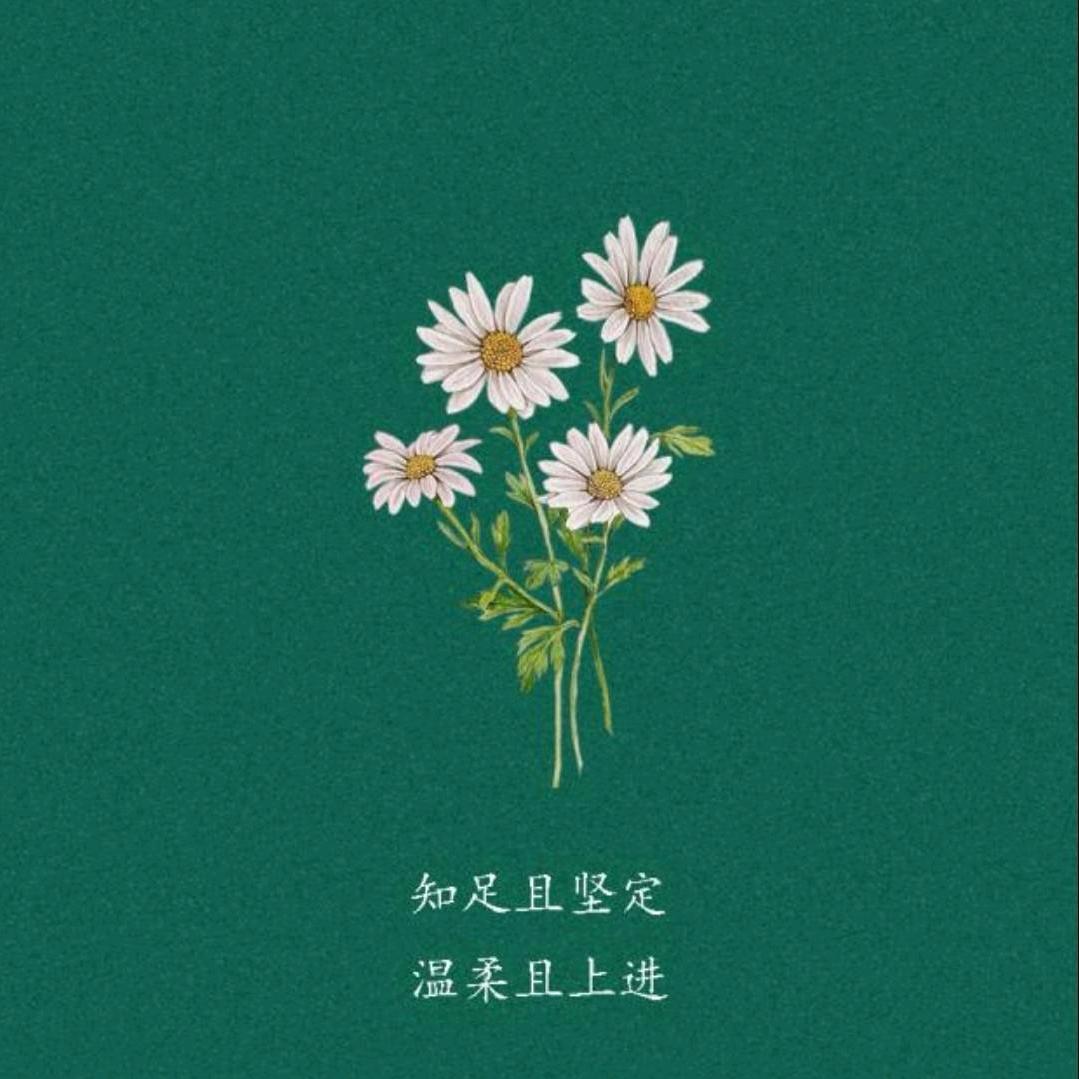 单县中考报考规划马老师