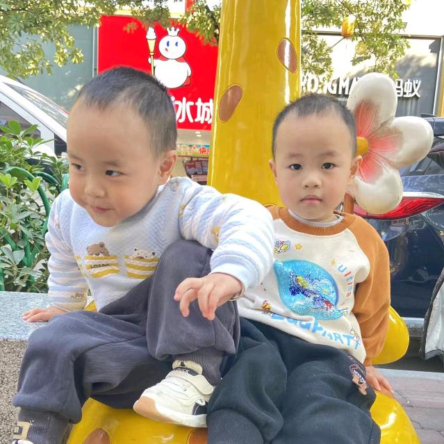 苦瓜吊兰