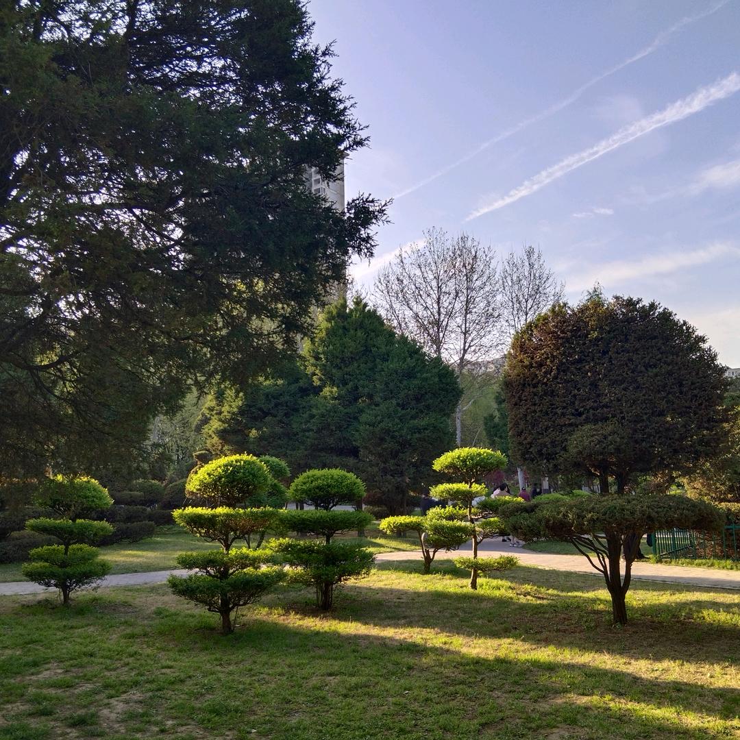 🌿平安🍒喜樂🍇