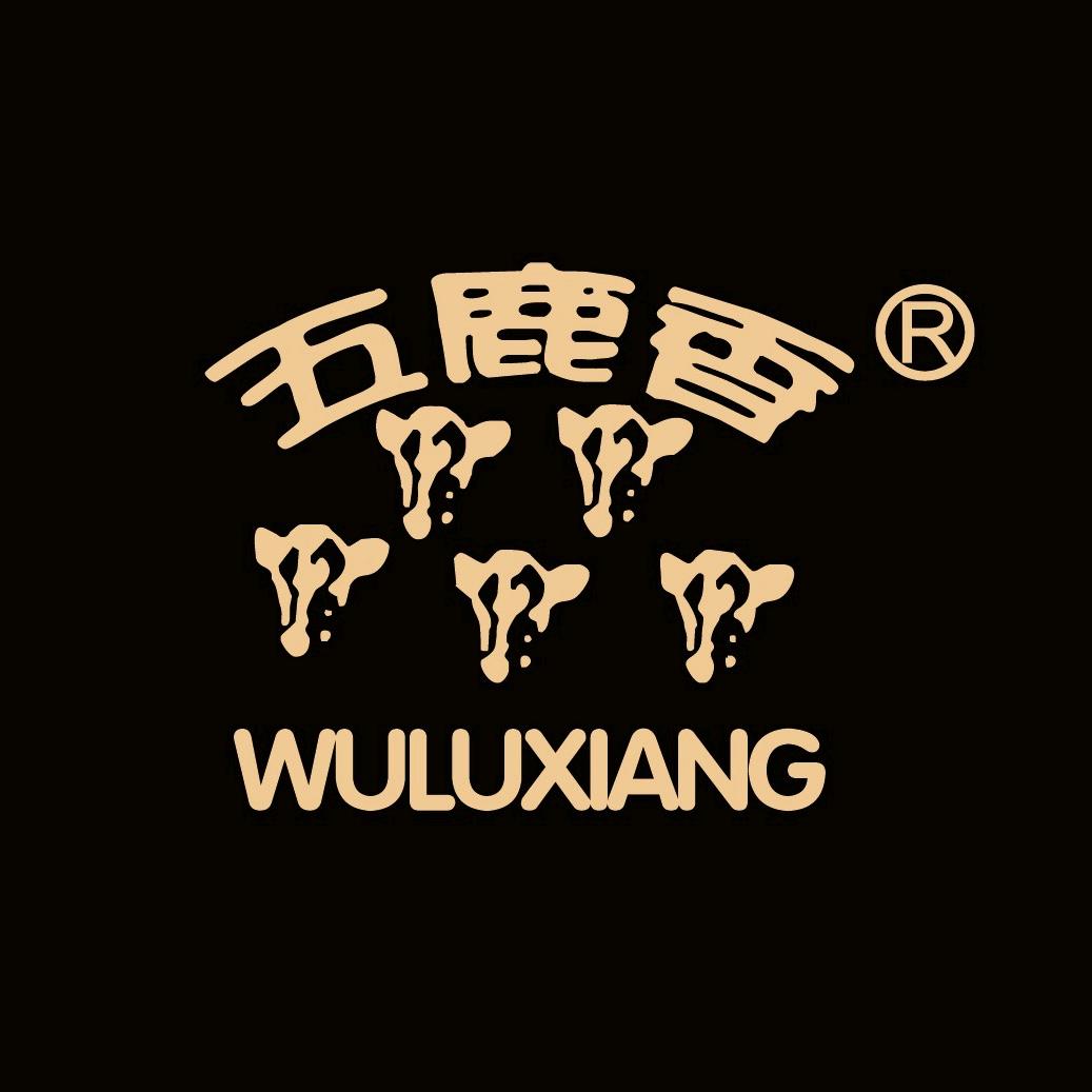 大名五鹿香小磨香油直播间