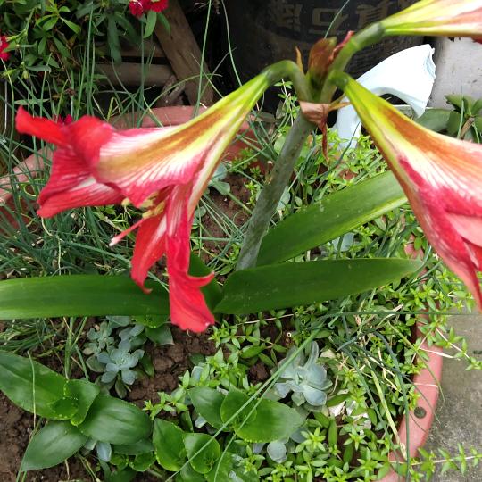 he🌻llo📞🍷🌹