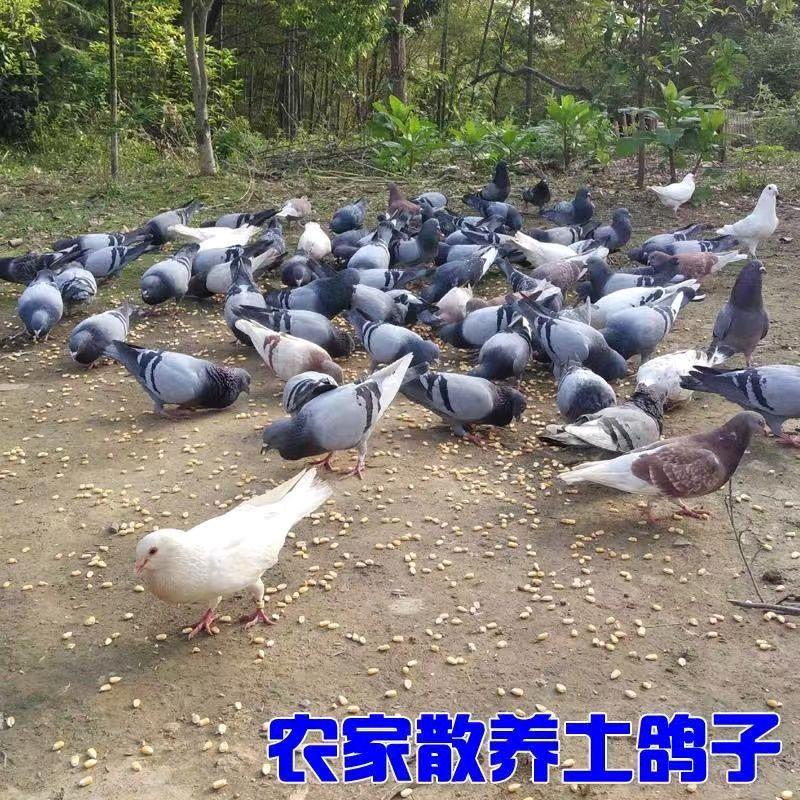 永瑞