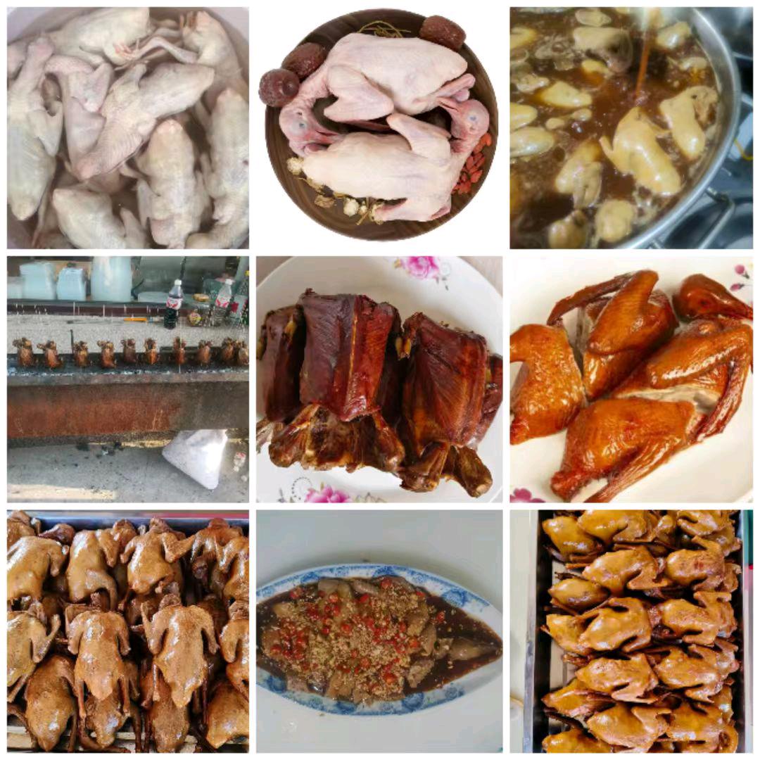 特色乳鸽🕊️（乐陵）