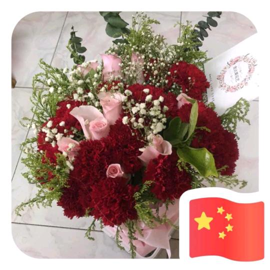 九洲揽月