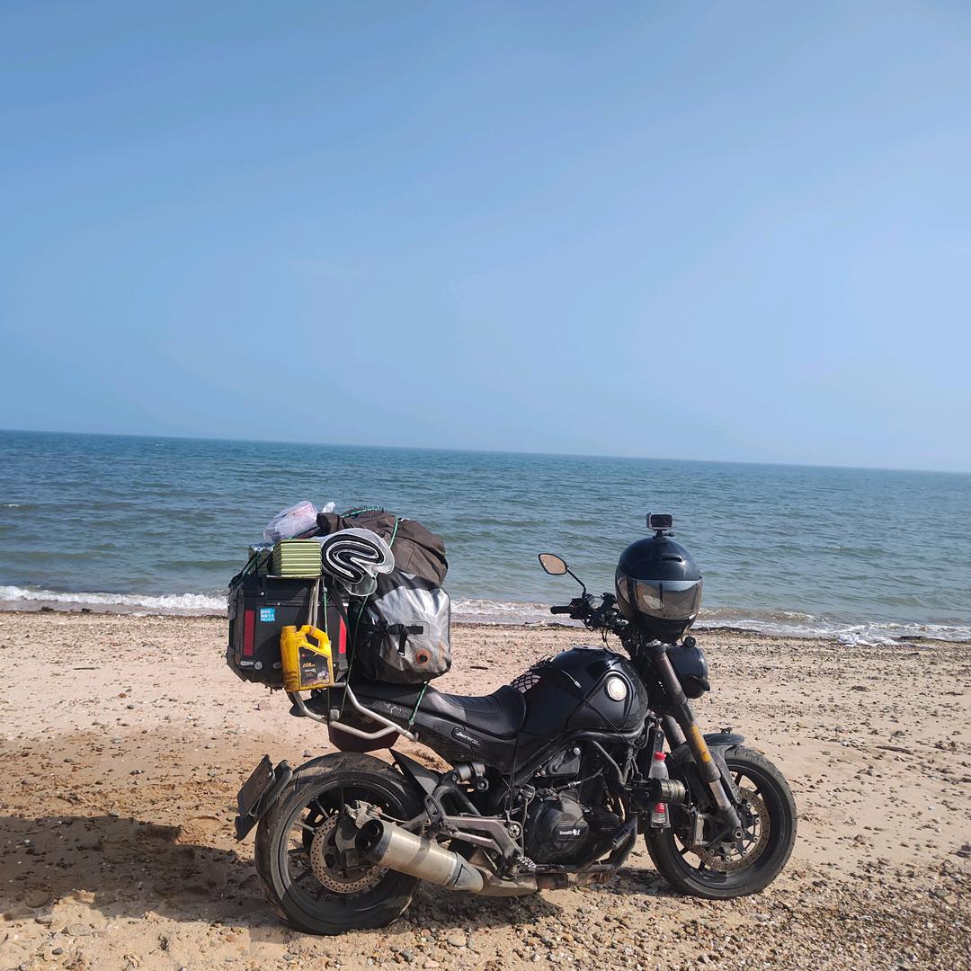 猫啃骨头狗舔鱼