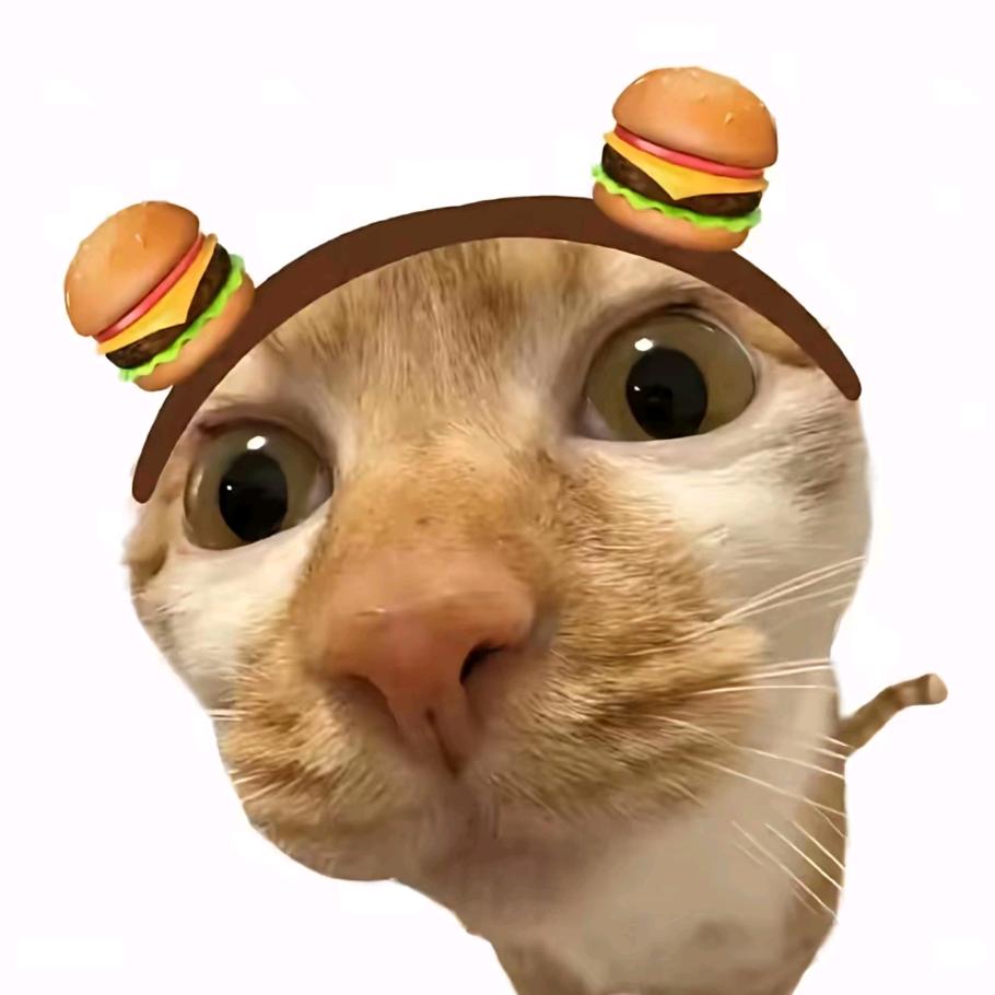 唐老鸭