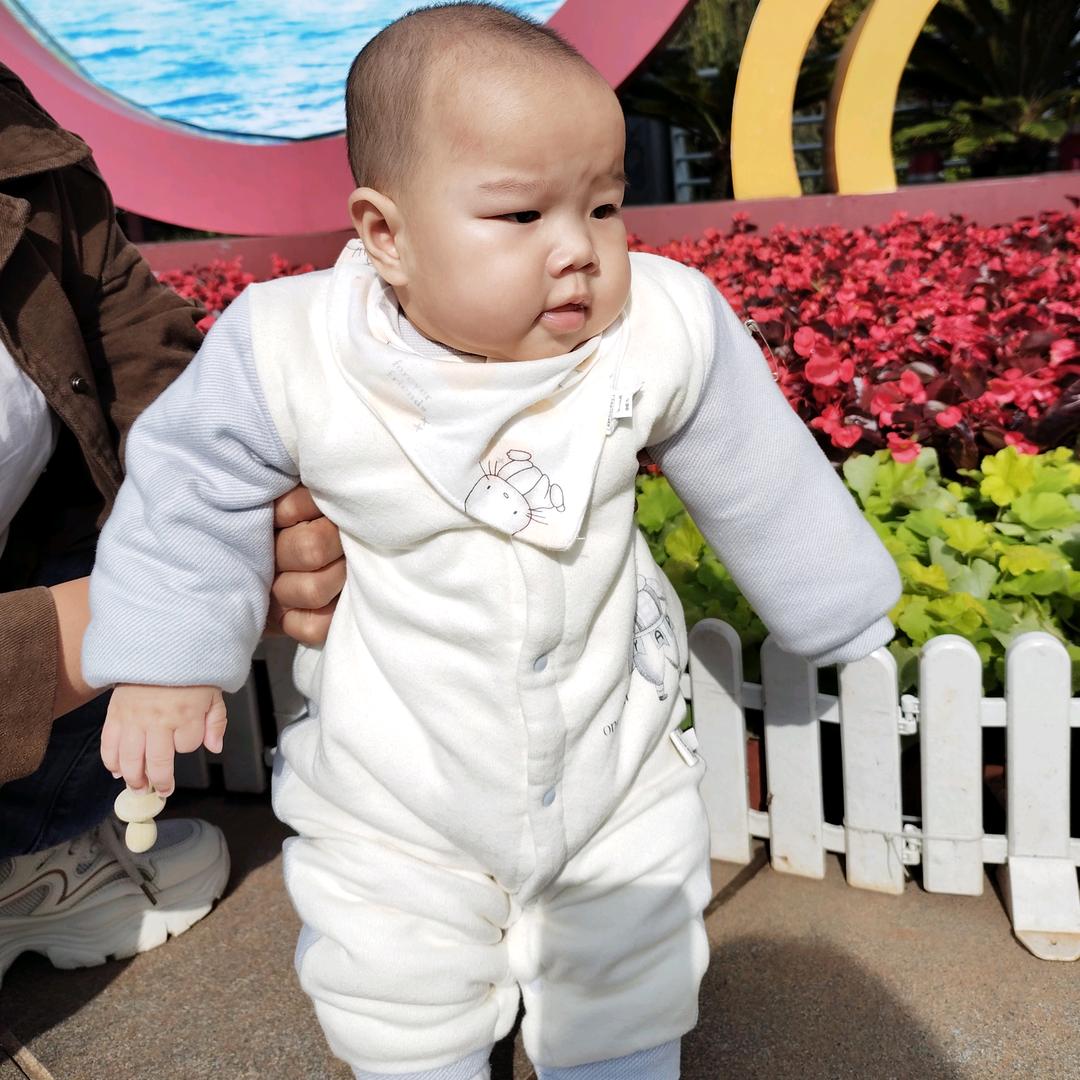 《燕子》不正常