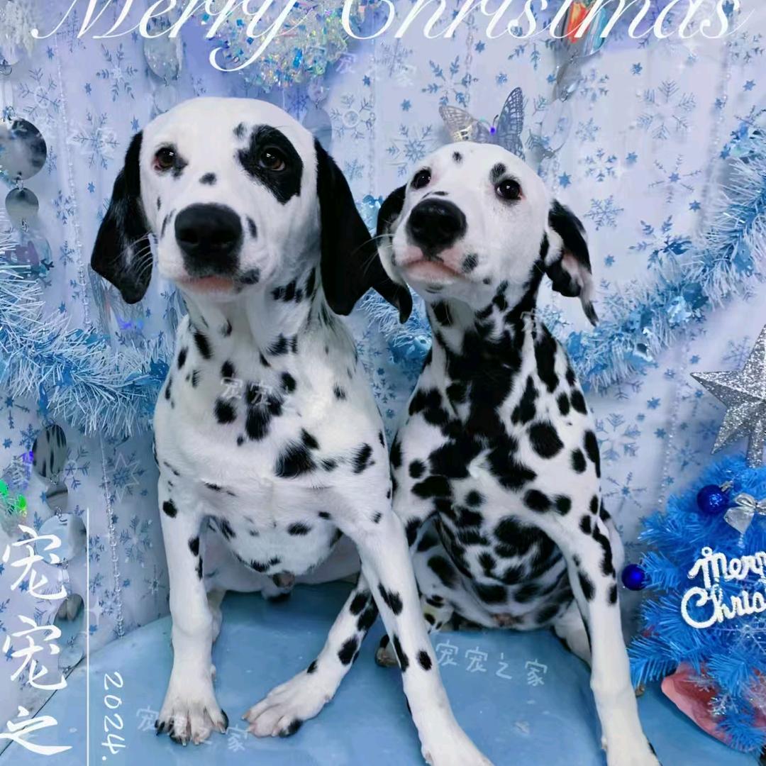 百万和英镑点子多