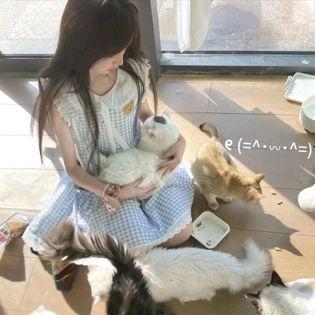 注定
