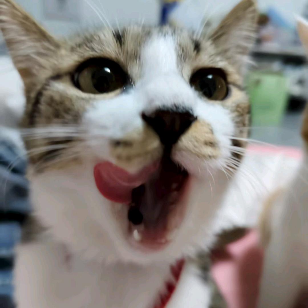 北 陌. Gik-