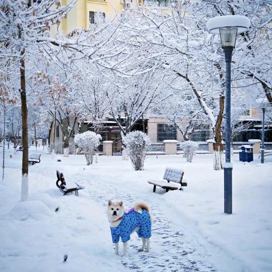 快乐就是想你😜❄️