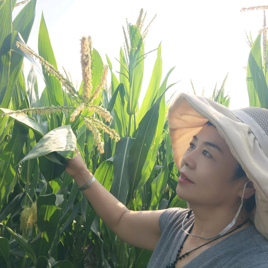 瑞丽农资优选