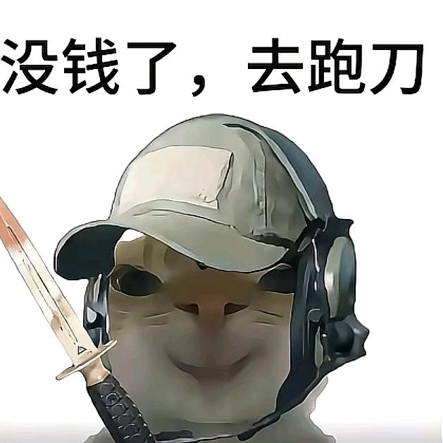 跑刀的鼠鼠😋(直播号)