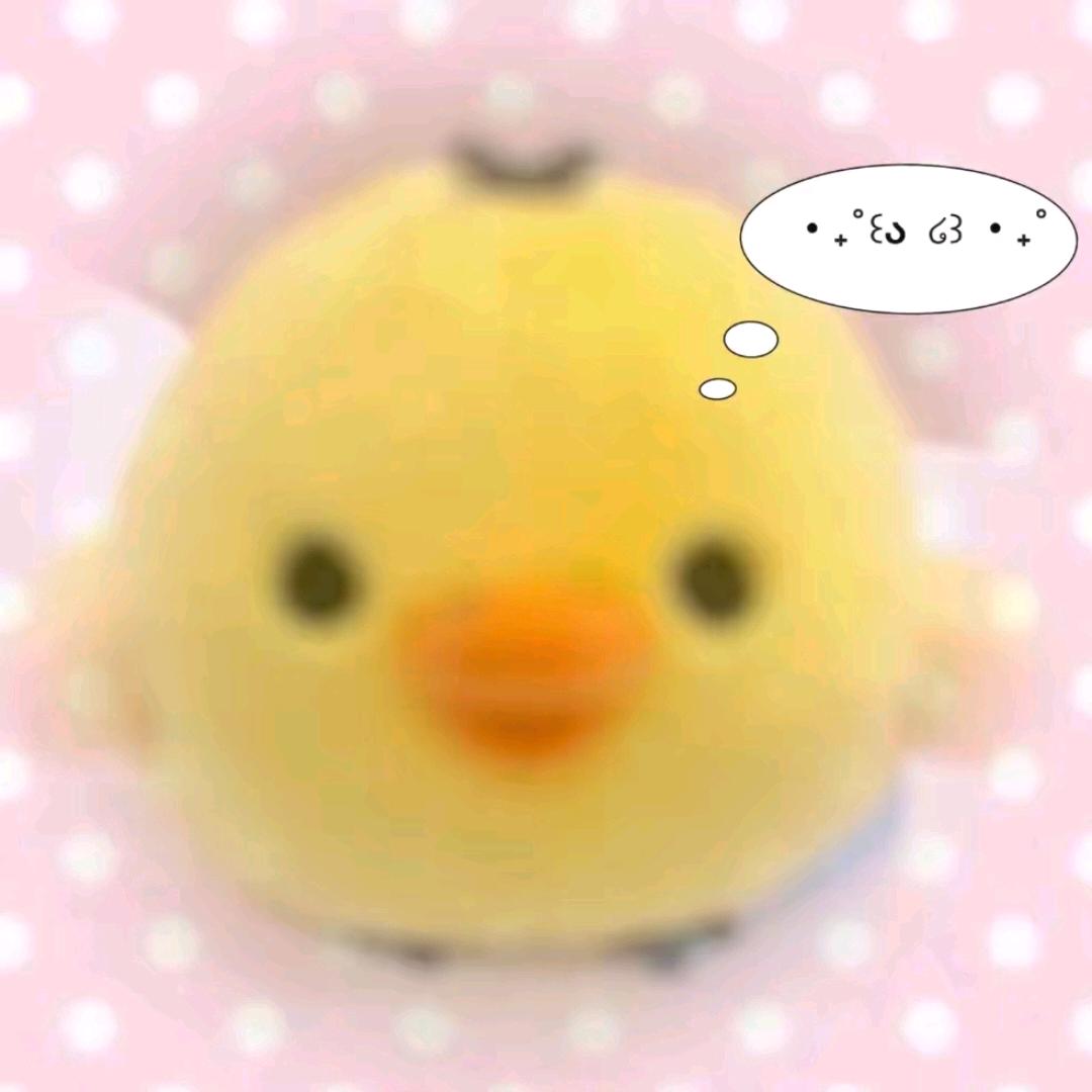 那你等着吧