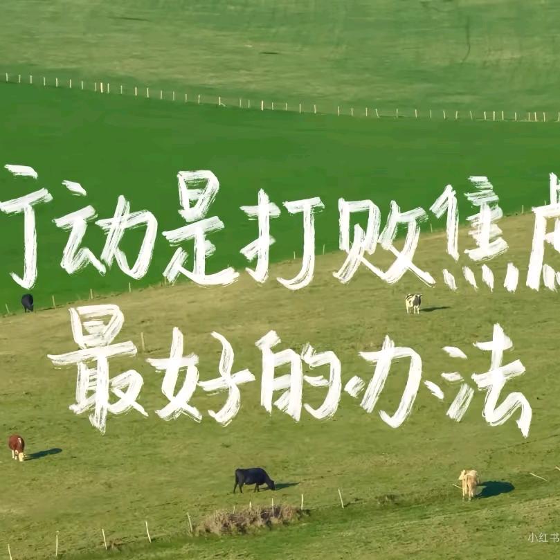是我冒饭了