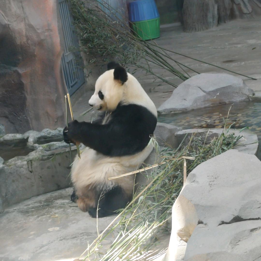 王富贵、,,