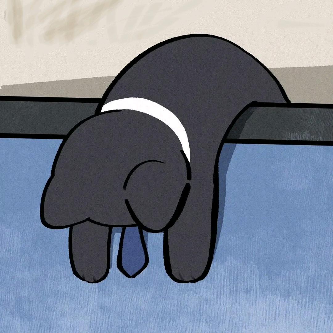 橘猫c