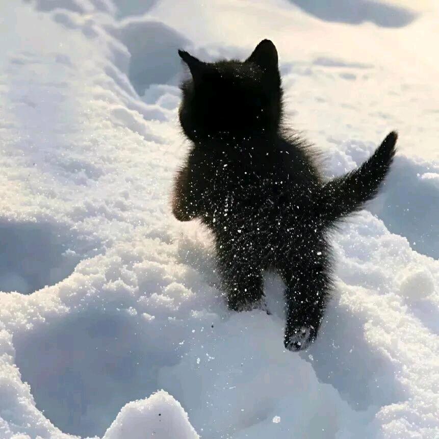 ㅤㅤㅤ晚安ㅤㅤㅤㅤ