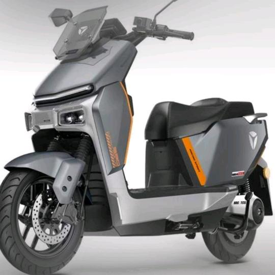 深圳市宝安区宏信电动车叶子