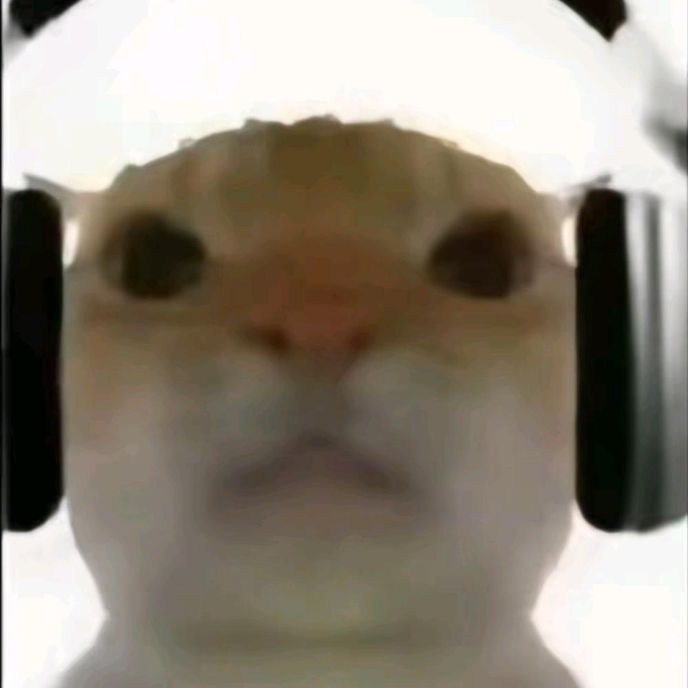 柯柯c