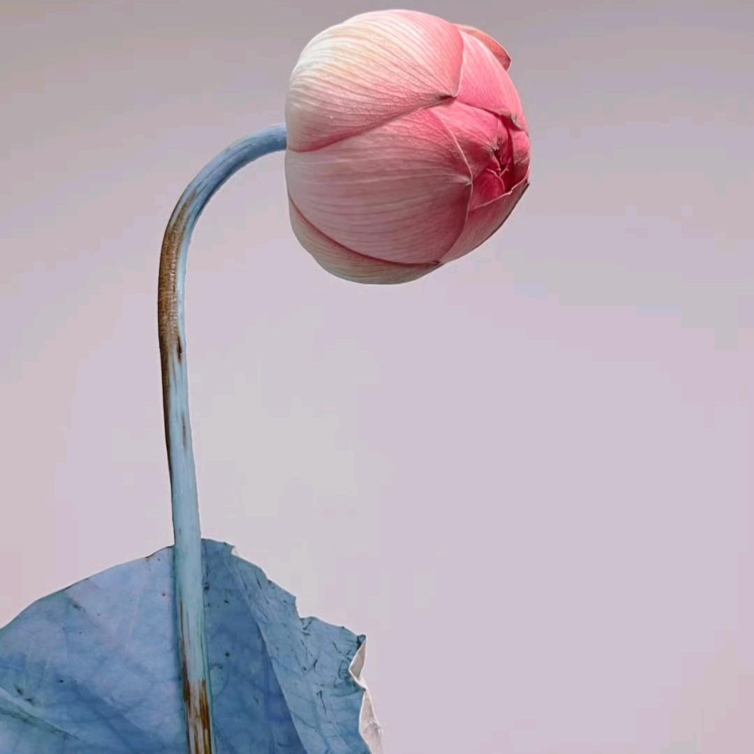 声线蒙太奇