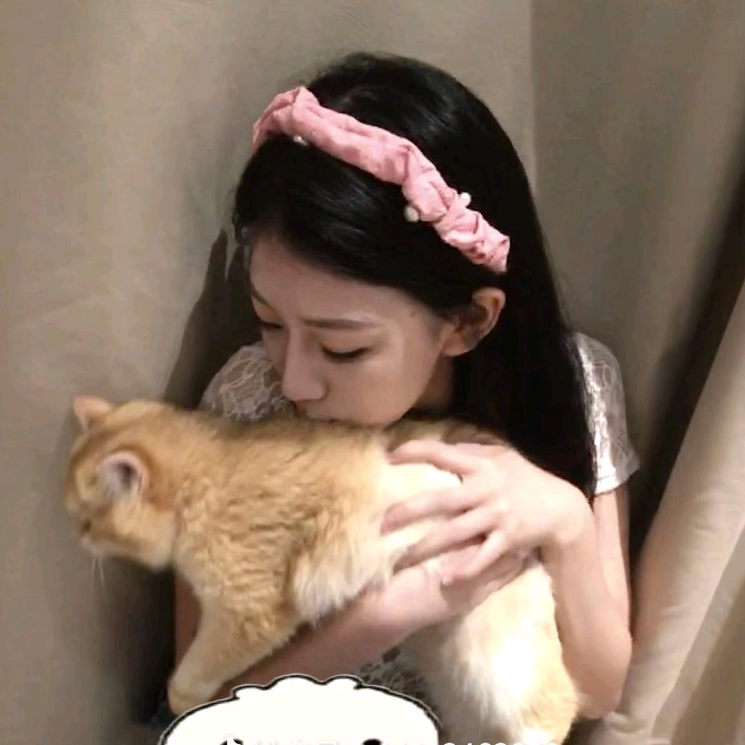 多次拒绝🐏🦅⭐