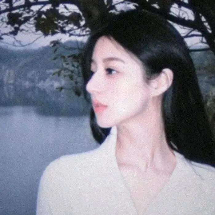 名为沙丁鱼的猫