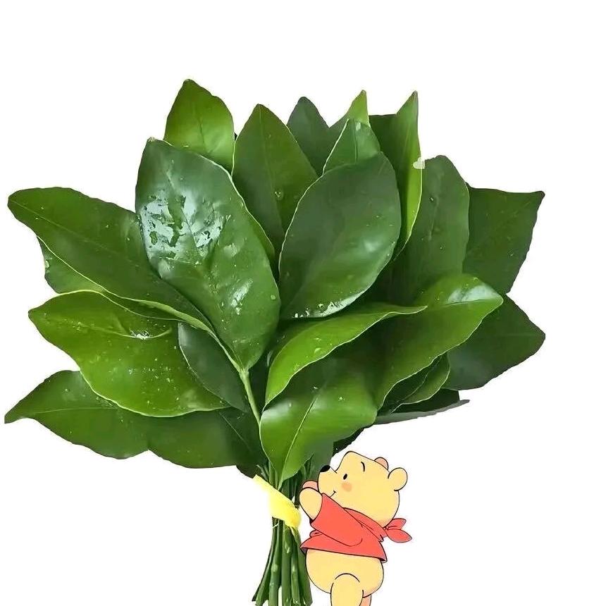 不吃饭也长胖🍊