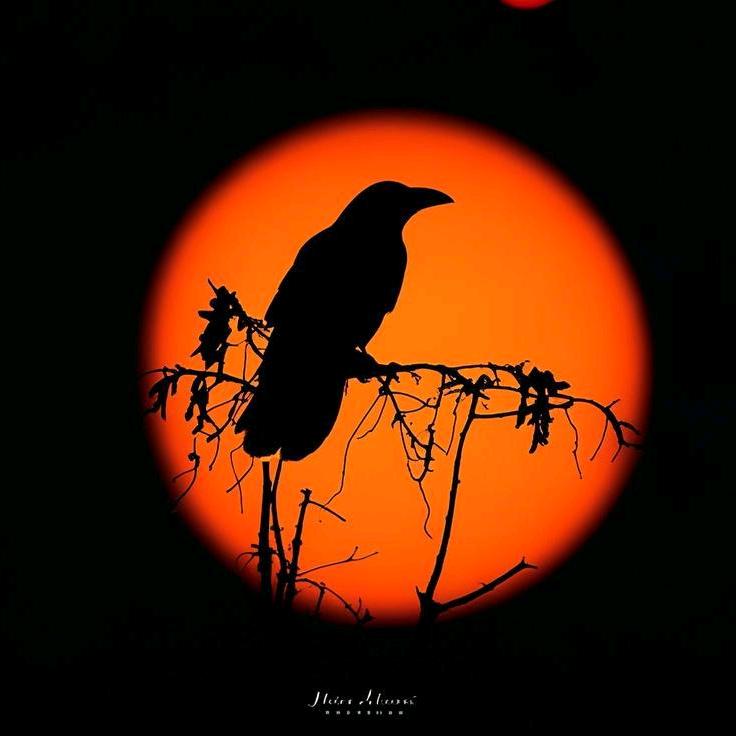 χρονου   spatium