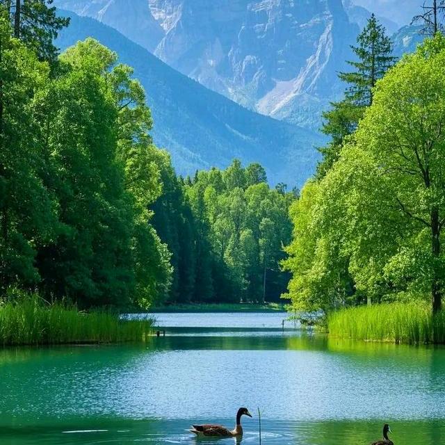 我在抖音学唱歌