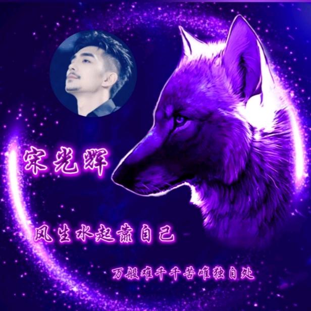宋氏輝煌集团，魔都小宋总...
