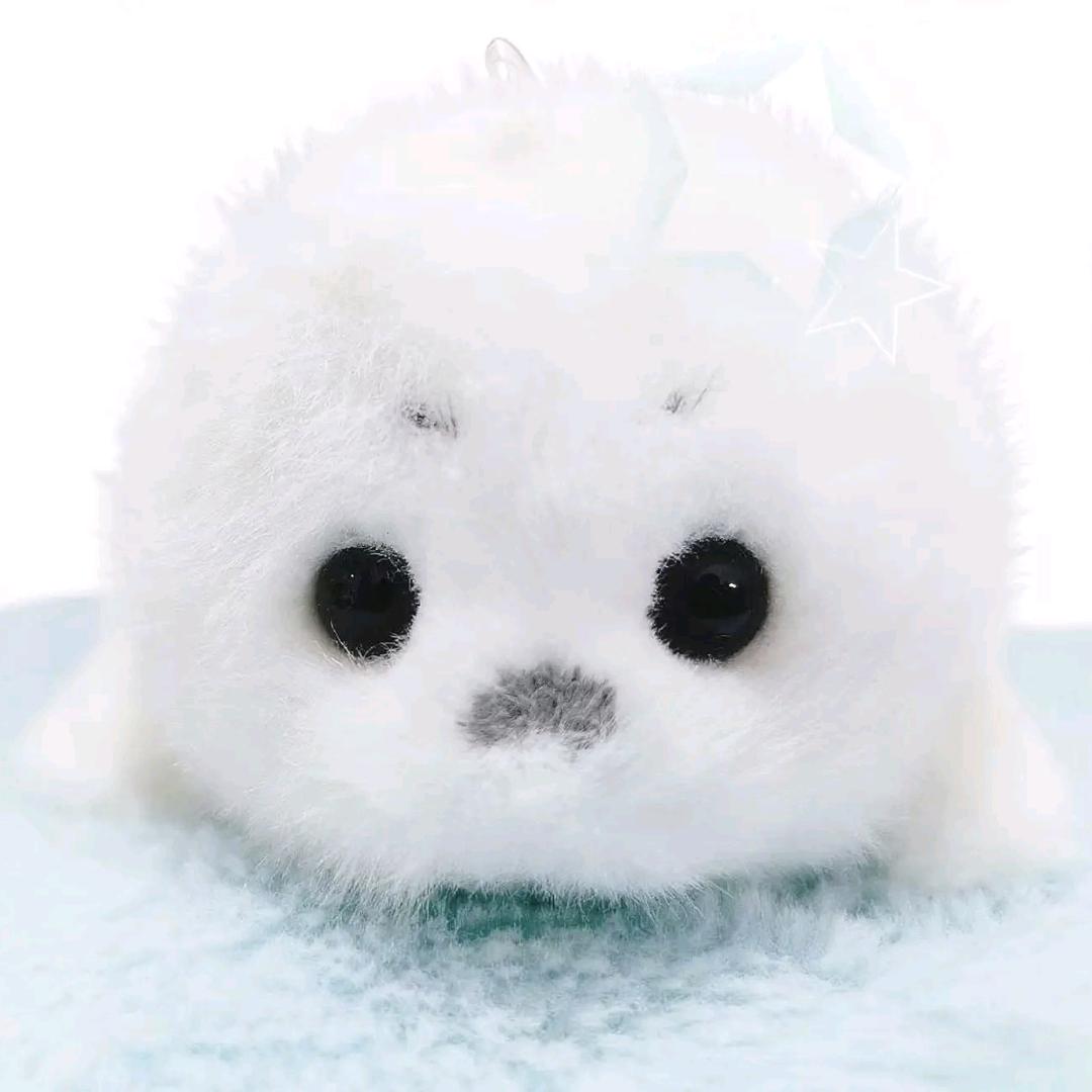 哥你等等我真不是嫂子