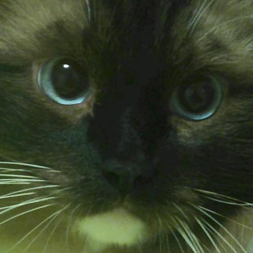 我个人平时爱看点大美妞😘