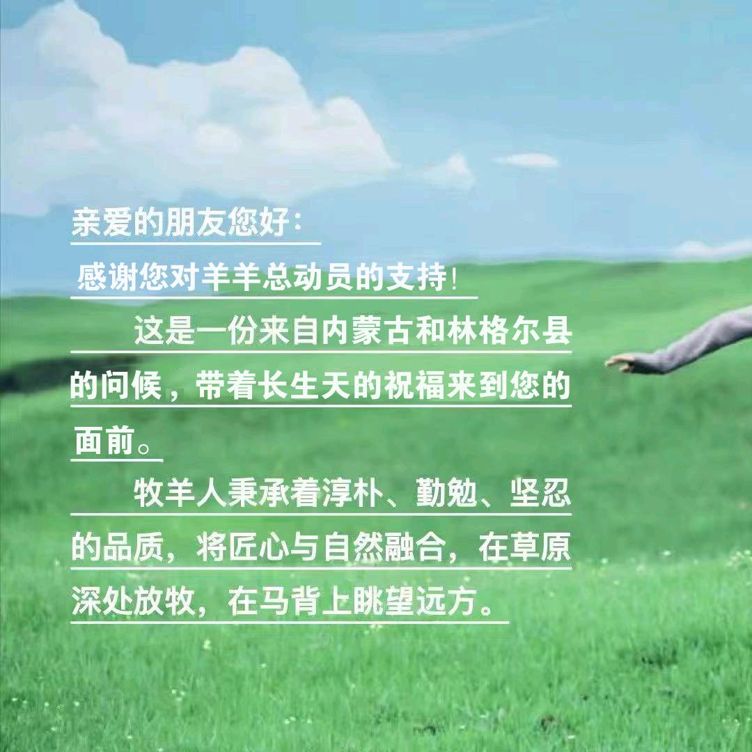 羊羊总动员创始人-0825