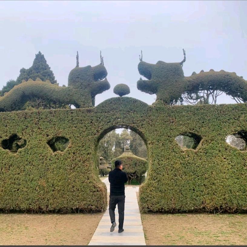 小杨←_←