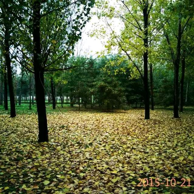 自由自在🇨🇳