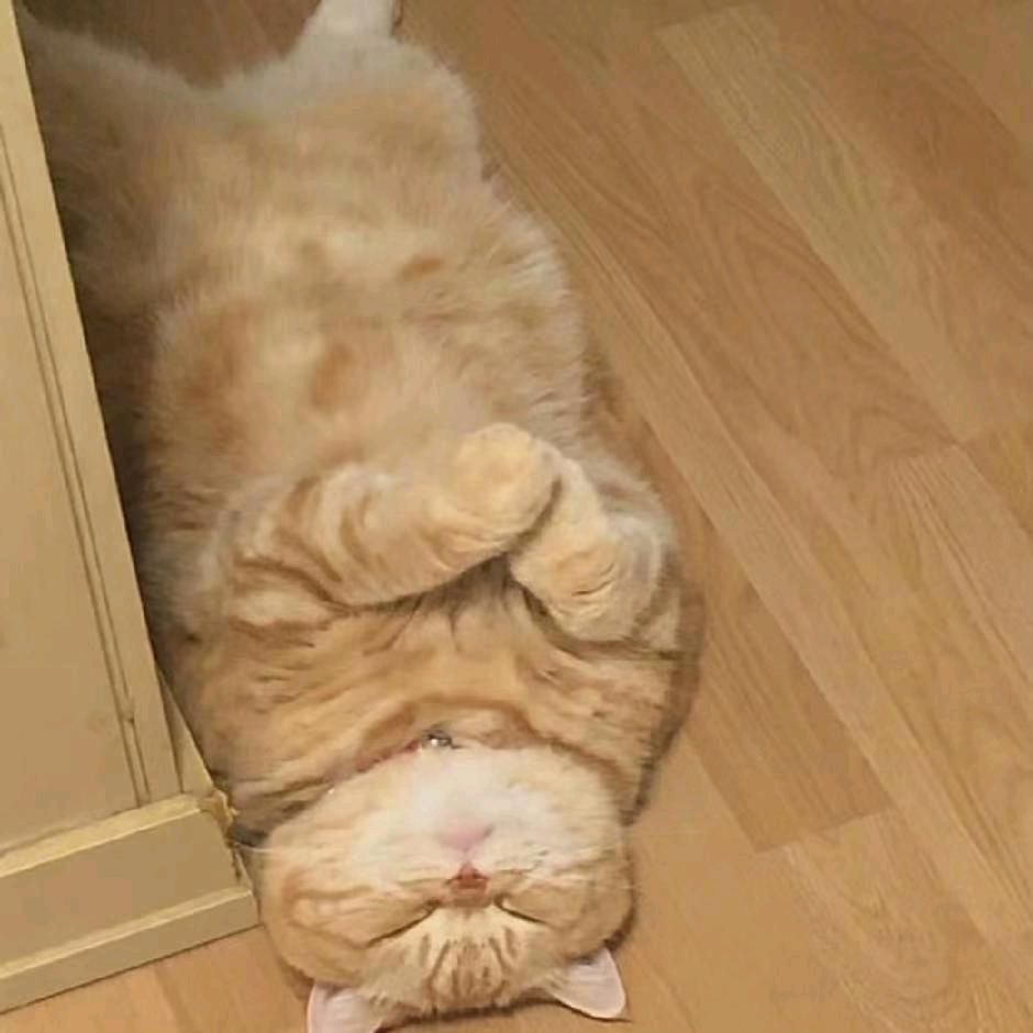 #太阳当空照