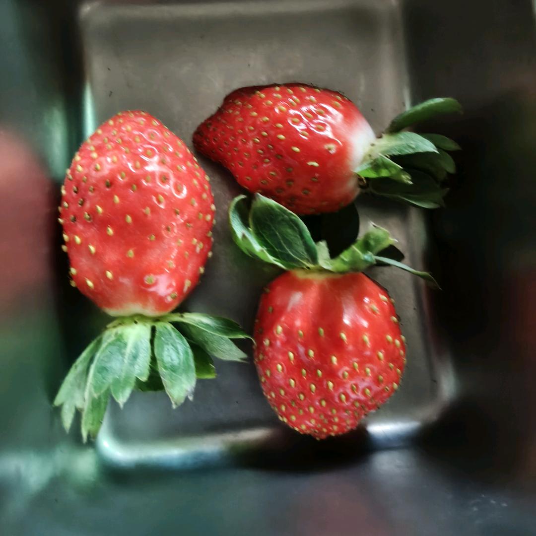 英