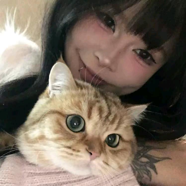 芋泥哈来了y