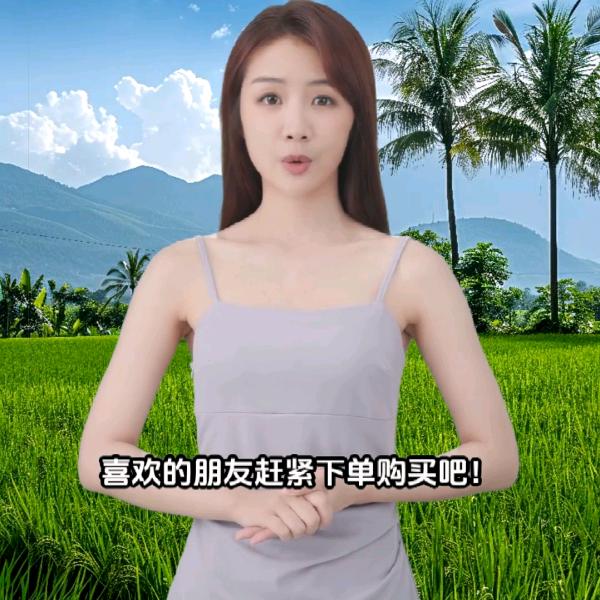 淡若清风
