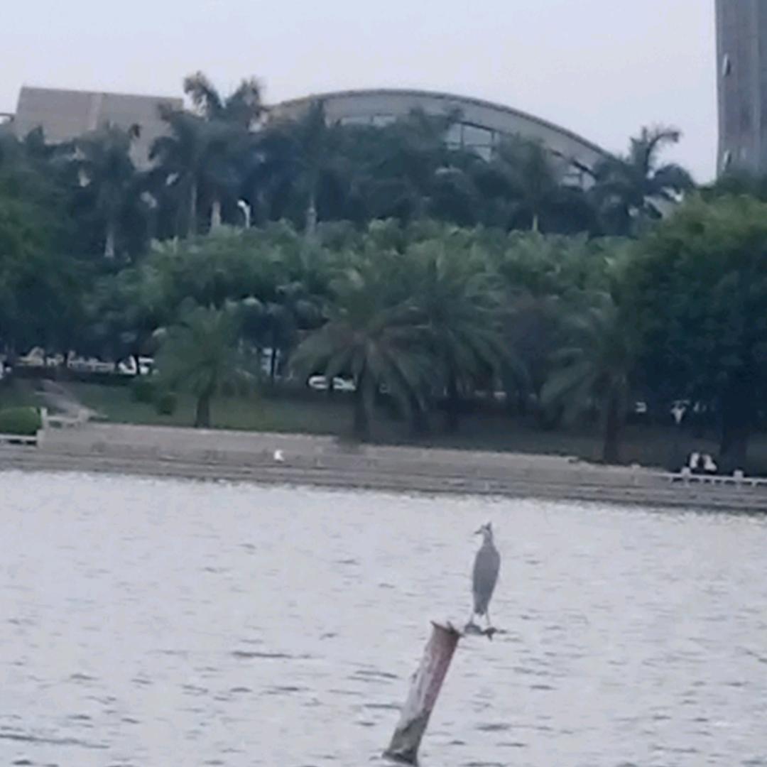 新启航
