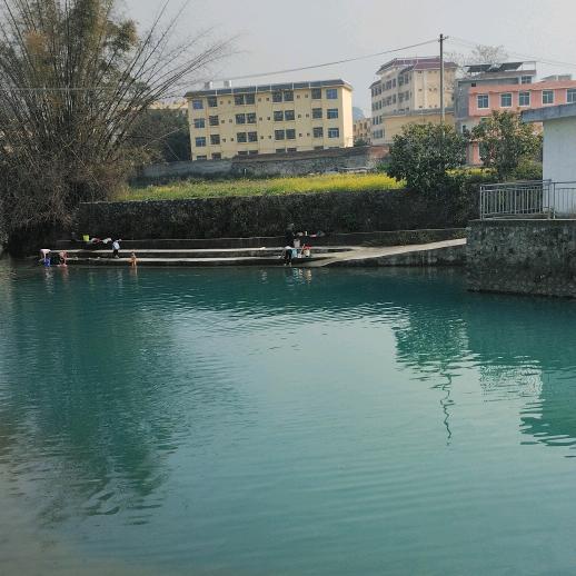 飘扬