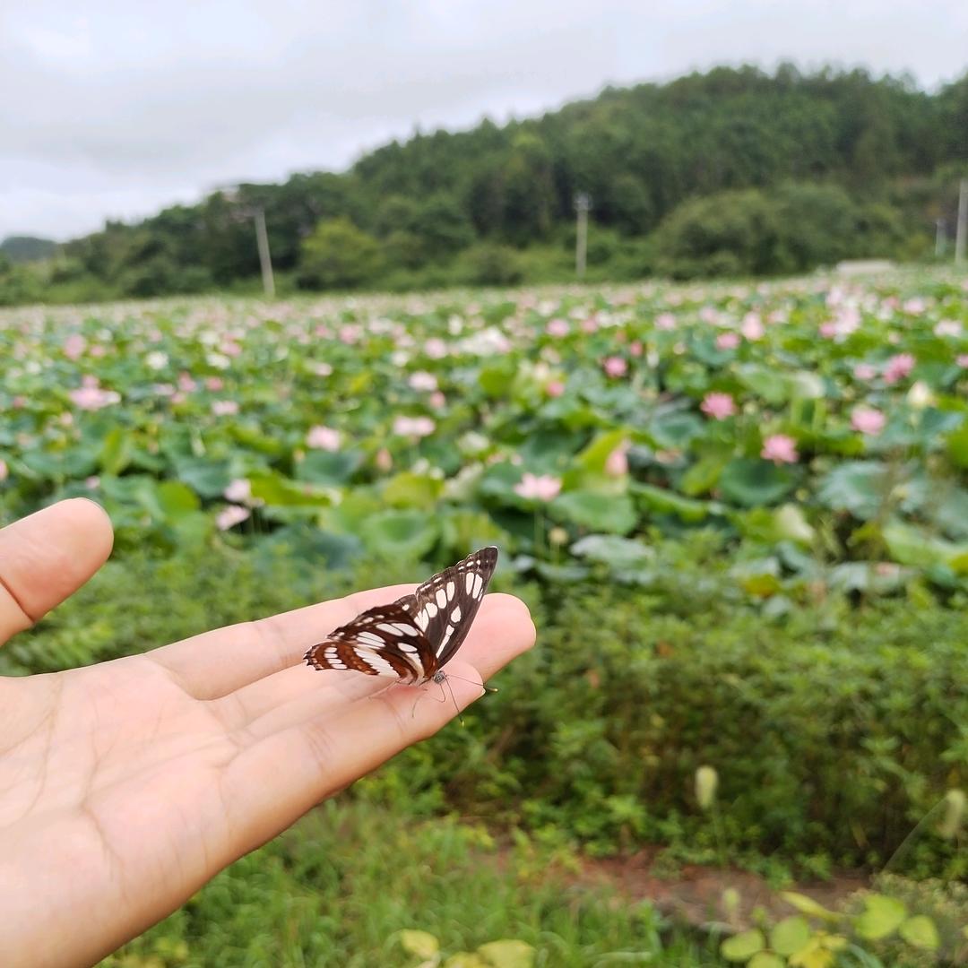 生活中的战斗机