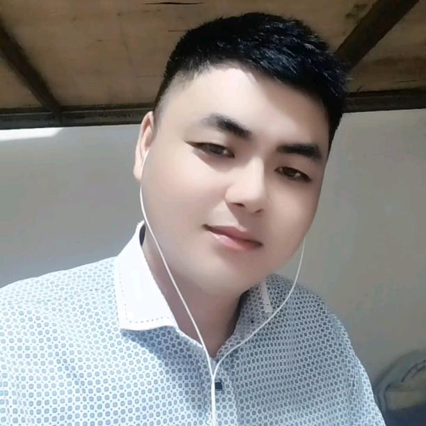 信天翁。