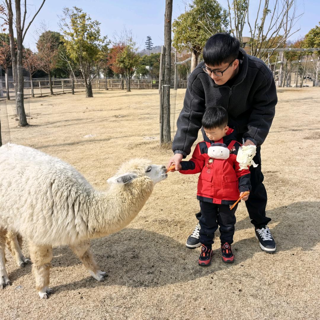 安安眼里有星星✨