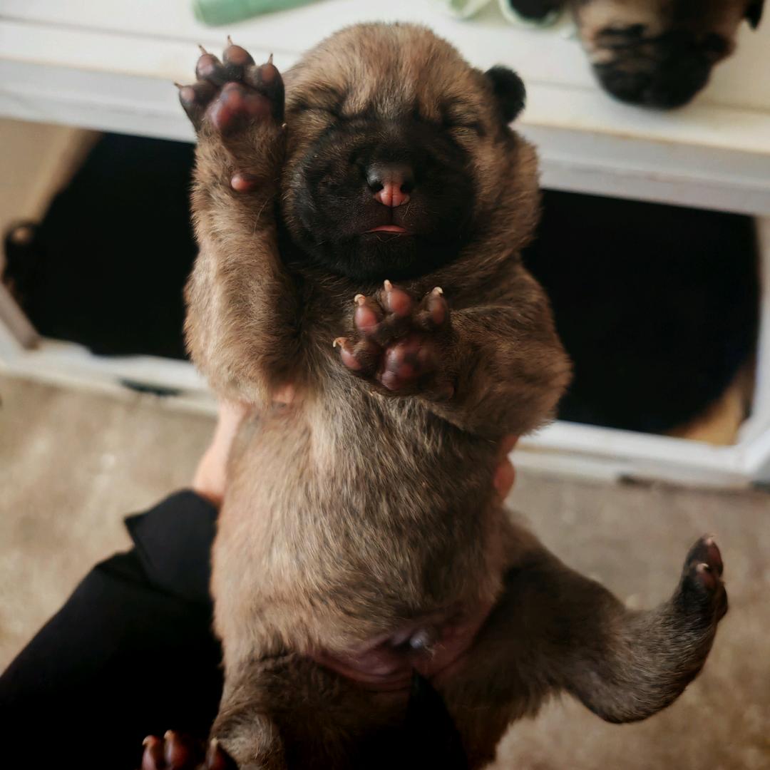 文富市第一男单