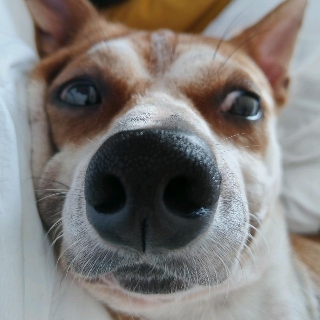 余生的梦