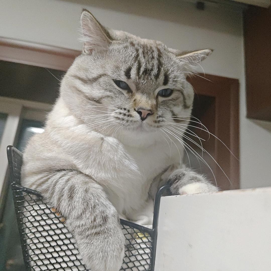 高视角解决一类问题