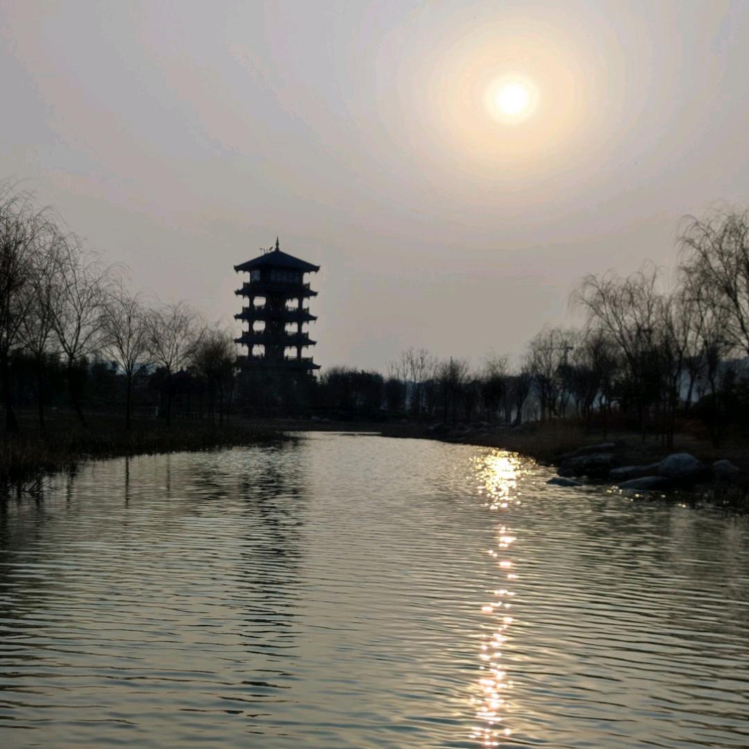 杨YANG